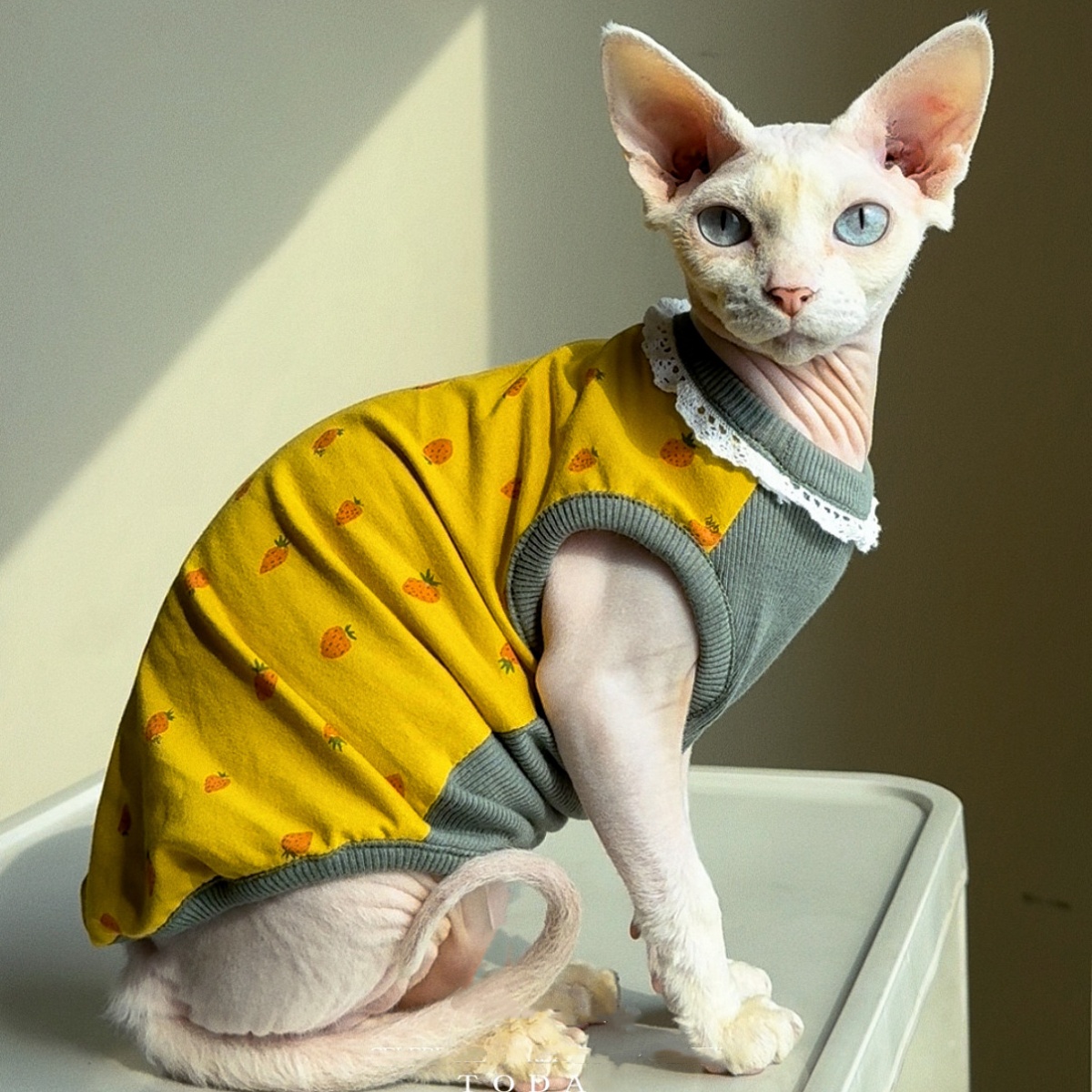 Clothing for Cat Spring Sweet  - огляд і ціна Summer Green Clothing